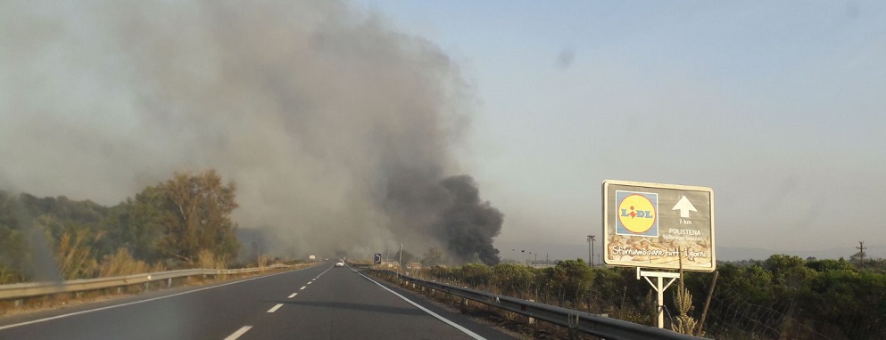 La Piana di Gioia Tauro martoriata dagli incendi