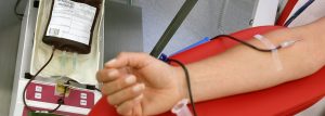 Raccolta straordinaria di sangue a Gioiosa Ionica: le iniziative dell’AVIS item-thumbnail