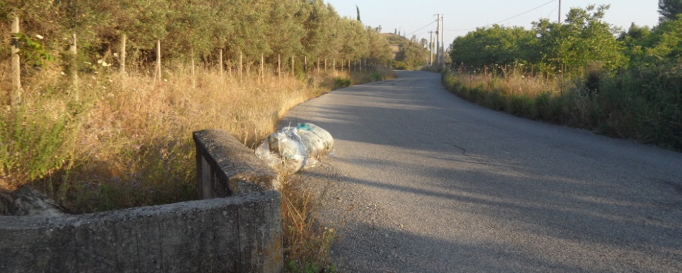 Rifiuti sulla strada Placanica-Stignano