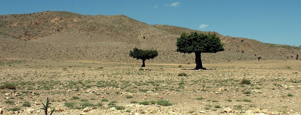 Continua le desertificazione del Sud. La Calabria, peggio di tutti