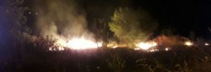 Ricominciano gli incendi a Caulonia marina item-thumbnail