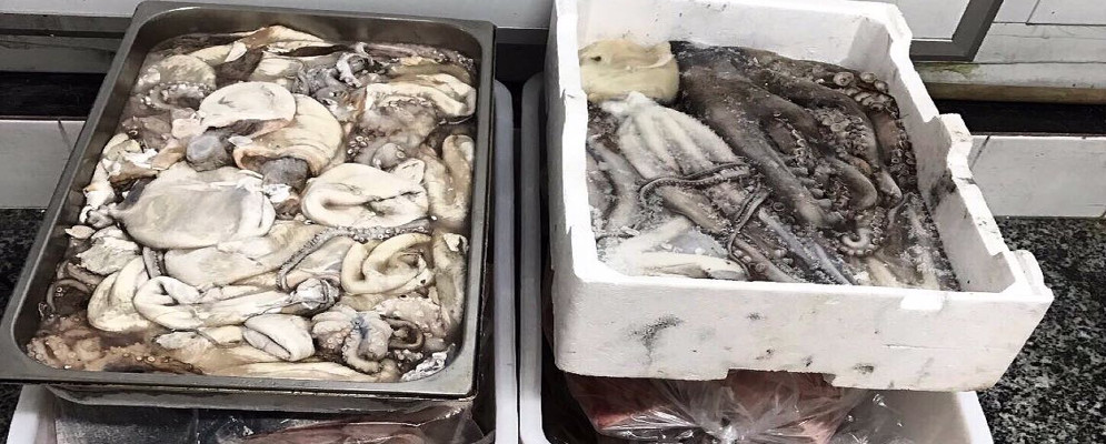 Sequestrati dalla Guardia Costiera di Roccella Ionica 90 kg di prodotti ittici
