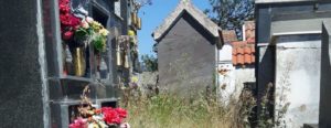 Lettore segnala le condizioni pietose del cimitero di Ursini item-thumbnail