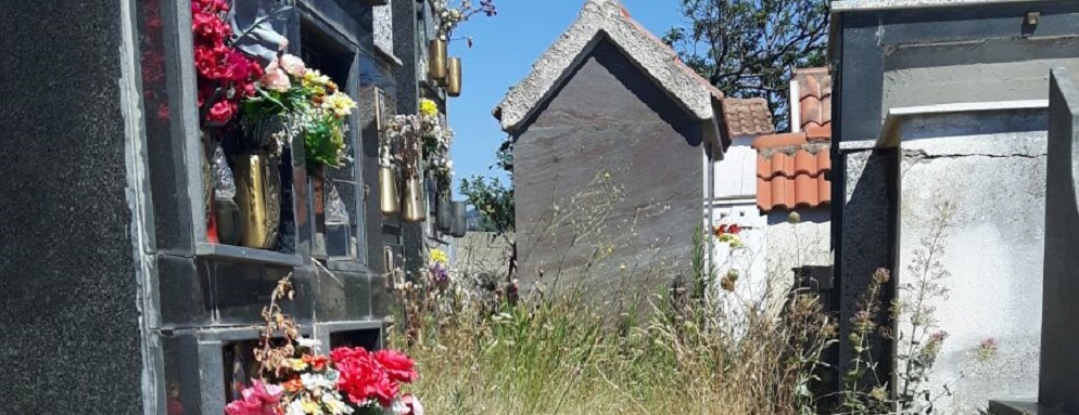 Lettore segnala le condizioni pietose del cimitero di Ursini