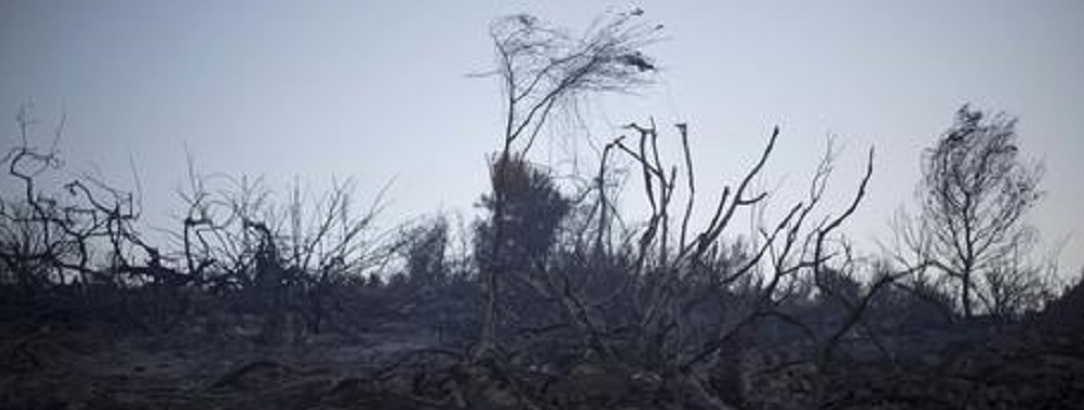 Tenta spegnere incendio,morto pensionato