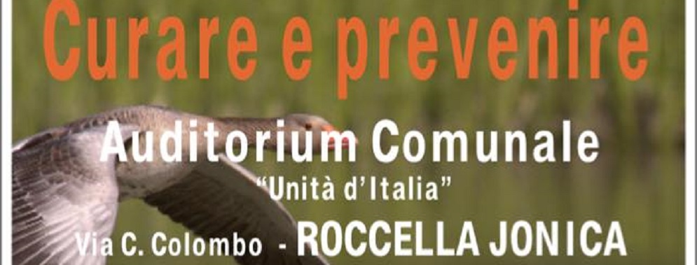 DIBATTITO  SULLA PREVENZIONE TUMORI A ROCCELLA IONICA