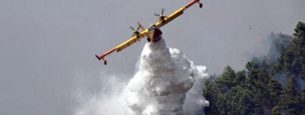 Incendi, oggi 8 richieste d’intervento aereo in Calabria