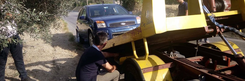 Investono cane. Contusi cinque ragazzi di Caulonia