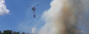 CAULONIA, INCENDIO SOTTO IL PONTE ALLARO – VIDEO item-thumbnail