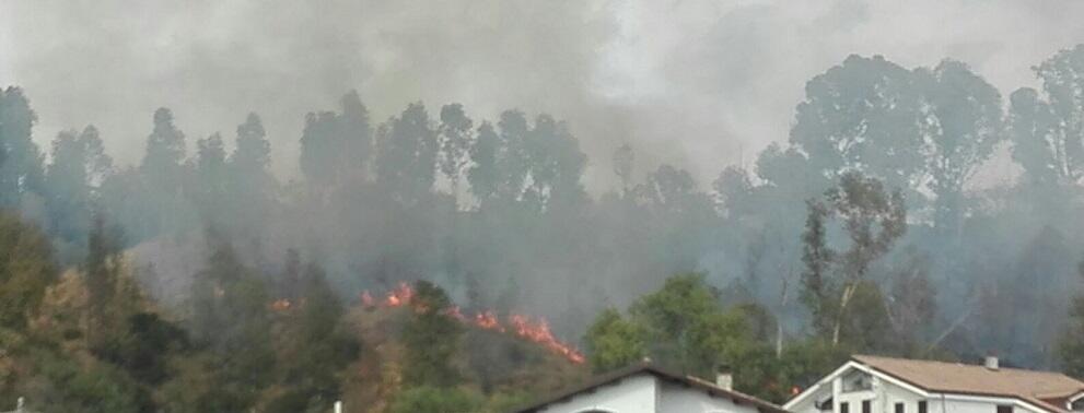 CAULONIA, INCENDIO IN VIA ENTE SILA