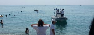 ROCCELLA IONICA: LIBERATA IN MARE UNA TARTARUGA CARETTA CARETTA item-thumbnail