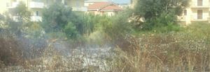 Caulonia, incendio in pieno Centro item-thumbnail