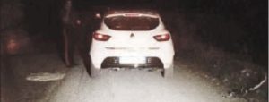 Caulonia: auto contro cinghiali, ferita una donna item-thumbnail
