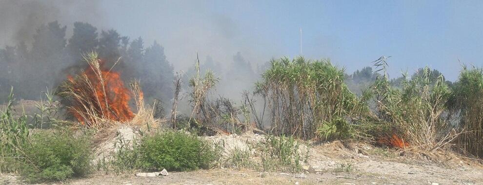 Fuoco nell’Amusa a Caulonia marina