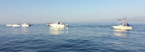 Roccella Ionica, svolto il 3° Trofeo di drifting al tonno “The Big Tuna” item-thumbnail