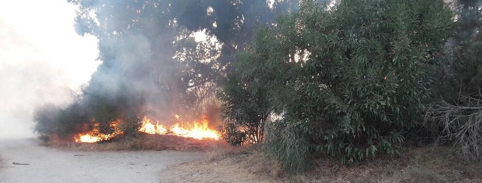 Incendio a Caulonia Marina lungo la pista ciclabile