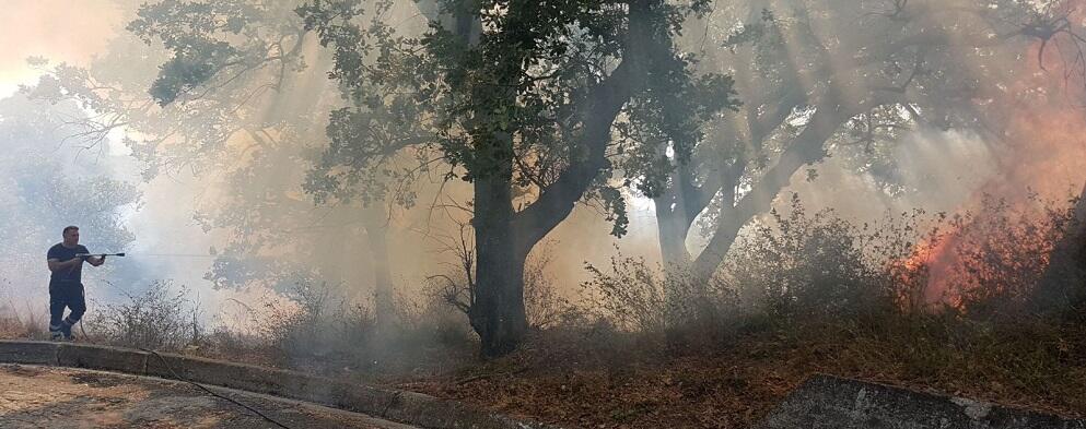 Incendio a Caulonia Marina