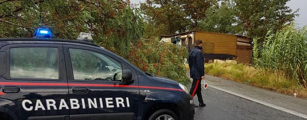 Maltempo, interrotta Statale 106 per caduta alberi tra Caulonia e Stignano