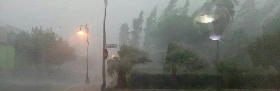 Crollo alberi – bloccata la strada per Caulonia superiore