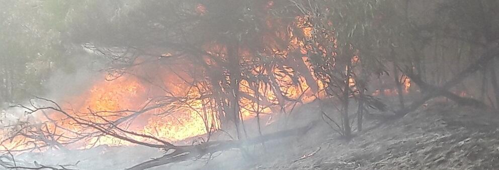 Ennesimo incendio lungo la pista ciclabile Caulonia-Roccella