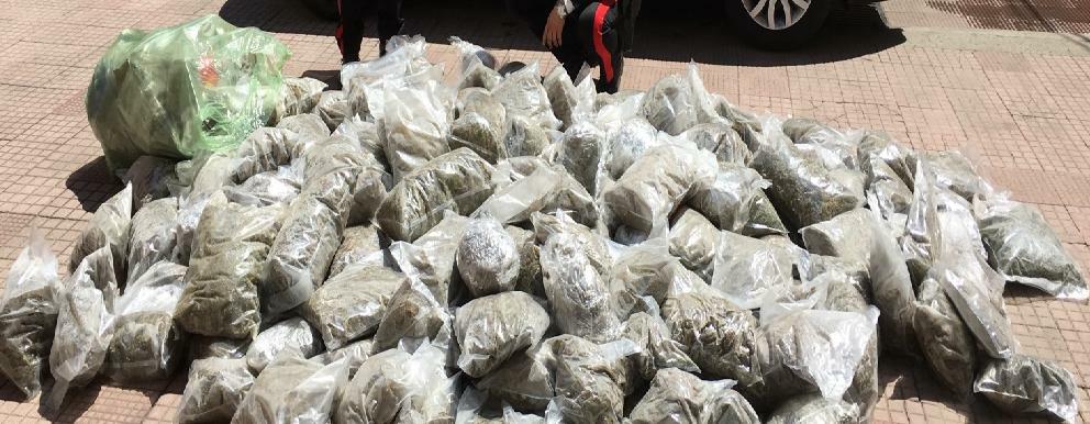 Trovati oltre 150 kg di stupefacente, arrestate due persone