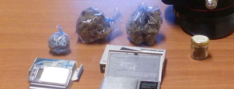 Un arresto per spaccio di marijuana