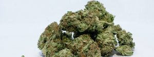 Beccato in casa con 90gr di marijuana, 25enne ai domiciliari item-thumbnail