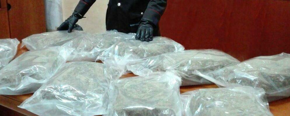 Trovato con 11 kg di marijuana in auto, arrestato pregiudicato