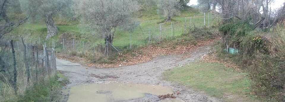 Gioiosa Ionica: le pessime condizioni della strada di accesso all’Oasi di Stefania
