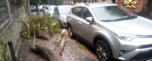 Raffiche di vento e pioggia intensa sferzano la regione, disagi in Calabria item-thumbnail