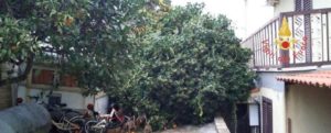 Tragico incidente causa maltempo, un uomo perde la vita precipitando dal tetto di casa item-thumbnail