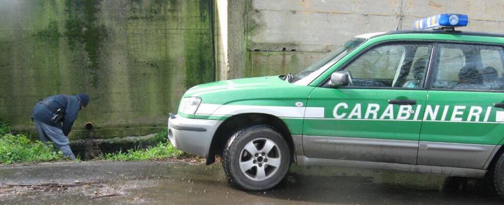 Irregolarità in un’azienda agricola, denunciato il titolare