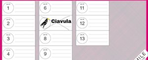 Ciavula viola la par condicio e annuncia il suo voto per le elezioni del 4 marzo item-thumbnail