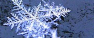 Venti forti e neve al di sopra dei 500 metri: l’allerta gialla della Protezione civile item-thumbnail