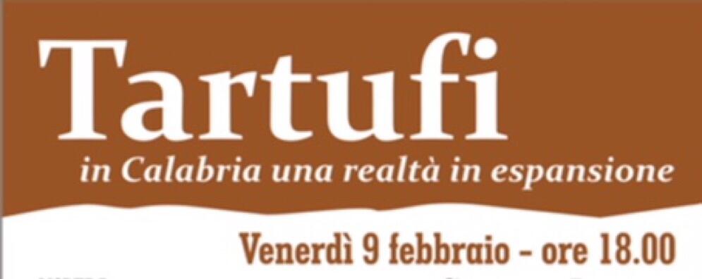 Il tartufo in Calabria, un convegno da “gustare” al Teatro al Castello