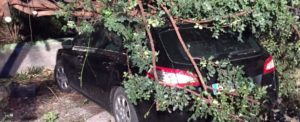 Maltempo a Caulonia, albero crolla su auto item-thumbnail