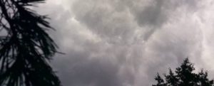 Maltempo in Calabria, gravi danni all’economia agricola locale item-thumbnail