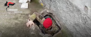 ‘Ndrangheta, rinvenuti 3 bunker nella Locride item-thumbnail