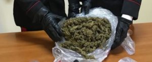 Due arresti, sei denunce e svariati sequestri durante un servizio di controllo a Gioia Tauro item-thumbnail