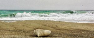 Foto del giorno per la rubrica “Cambiando Prospettiva” item-thumbnail
