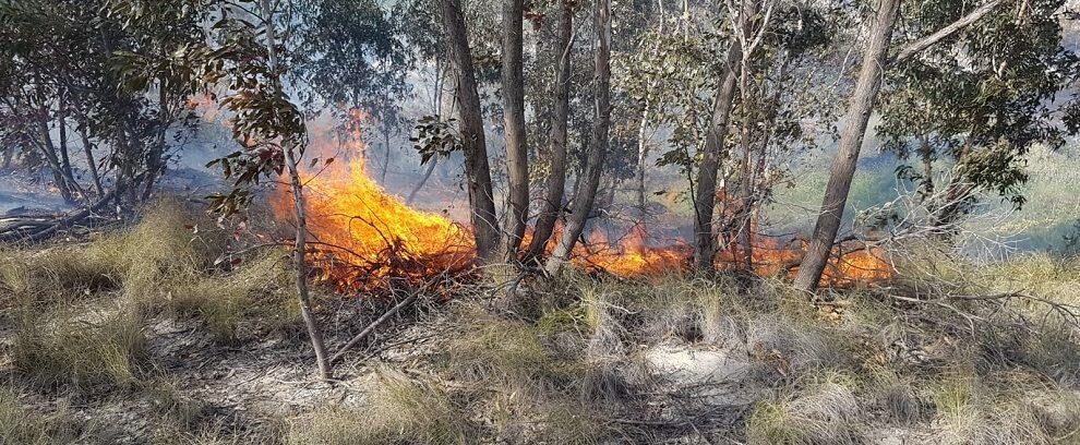 Caulonia, incendio in località Feudo Calderone: interviene la Protezione civile