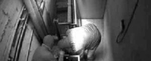 Colpo da 8 milioni in un caveau: arrestata banda foggiana alleata con le ‘ndrine locali item-thumbnail
