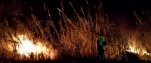 Incendio a Caulonia Marina, interviene la Protezione civile item-thumbnail