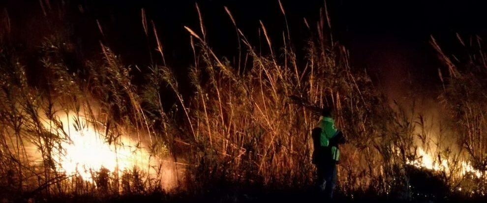 Incendio a Caulonia Marina, interviene la Protezione civile