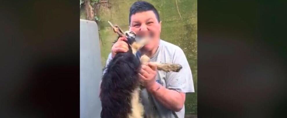 Azzanna una capra viva e pubblica il video sul web, denunciato un calabrese