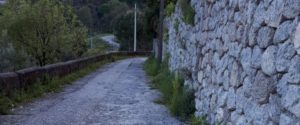 Segnalazione San Nicola: “Nonostante tutto esistiamo” item-thumbnail