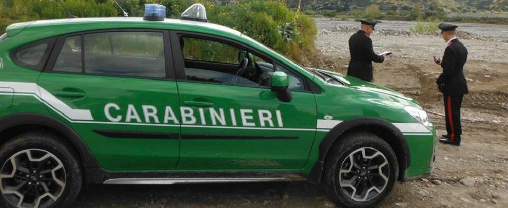 Controlli dei carabinieri per la tutela ambientale, denunciate 3 persone