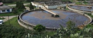 Movimento 14 Luglio e le associazioni del territorio della Piana in allerta per i lavori di manutenzione all’impianto di depurazione item-thumbnail