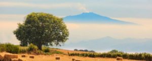 “Cammini di Calabria”: trekking e passeggiate tra la Sila, il mare e i pendii dell’Aspromonte item-thumbnail