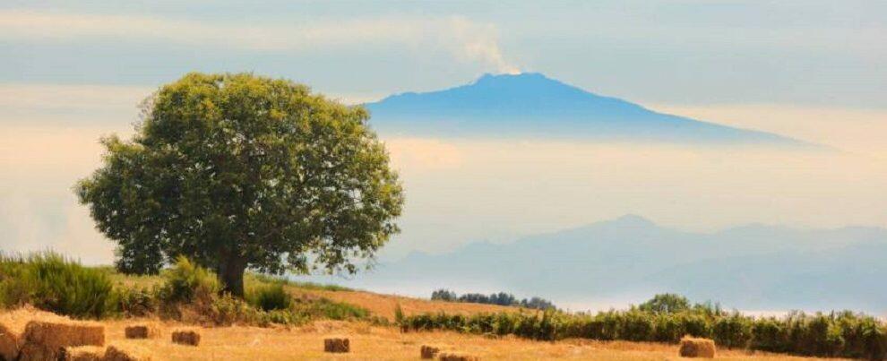 “Cammini di Calabria”: trekking e passeggiate tra la Sila, il mare e i pendii dell’Aspromonte